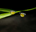 Yellow Stone Studs