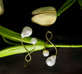 Stone Earrings